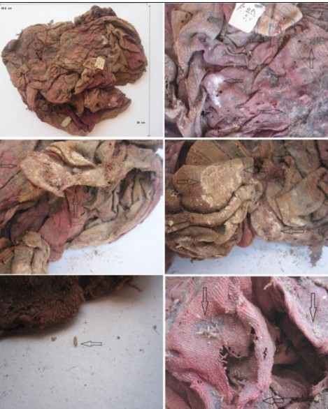 نماذج من ترميم المنسوجات التاريخية في متحف كوم أوشيم — الفيوم — منسوجات في ظروف متحفية غير قياسية — 1